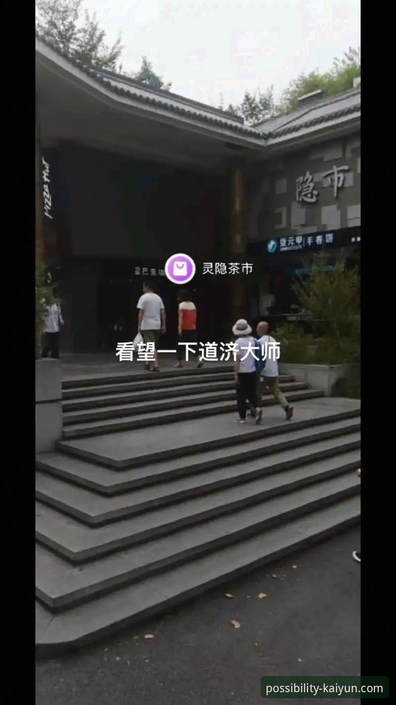 开云官网手机版对比全面解析：从v2.1.0版本看移动端体验的演进趋势